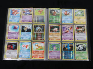 Lot 235 - POKEMON COMPANY (FRANCE) (1)