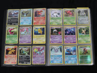 Lot 226 - POKEMON COMPANY (FRANCE) (1)