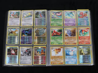 Lot 226 - POKEMON COMPANY (FRANCE) (1)