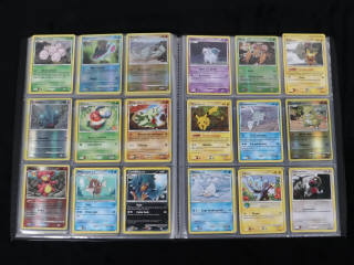 Lot 226 - POKEMON COMPANY (FRANCE) (1)