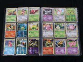 Lot 236 - POKEMON COMPANY (FRANCE) (1)