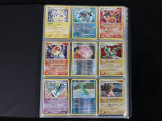 Lot 227 - POKEMON COMPANY (FRANCE) (1)