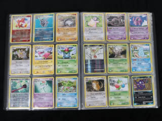 Lot 227 - POKEMON COMPANY (FRANCE) (1)