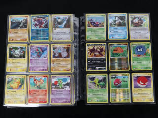 Lot 231 - POKEMON COMPANY (FRANCE) (1)