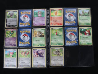 Lot 210 - POKEMON COMPANY (FRANCE) (1)