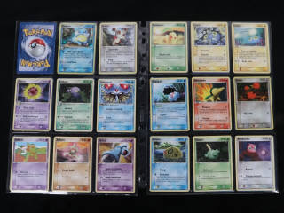 Lot 213 - POKEMON COMPANY (FRANCE) (1)