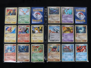 Lot 221 - POKEMON COMPANY (FRANCE) (1)