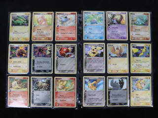 Lot 221 - POKEMON COMPANY (FRANCE) (1)