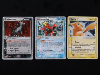 Lot 221 - POKEMON COMPANY (FRANCE) (1)