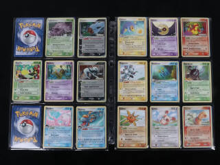 Lot 220 - POKEMON COMPANY (FRANCE) (1)