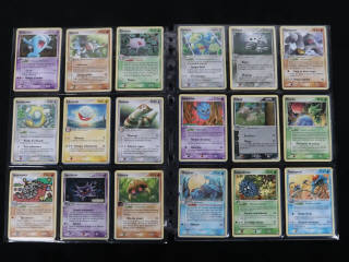 Lot 220 - POKEMON COMPANY (FRANCE) (1)