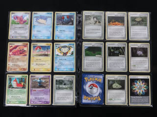 Lot 220 - POKEMON COMPANY (FRANCE) (1)