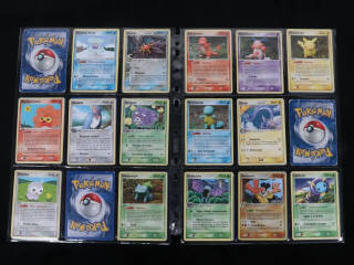 Lot 219 - POKEMON COMPANY (FRANCE) (1)