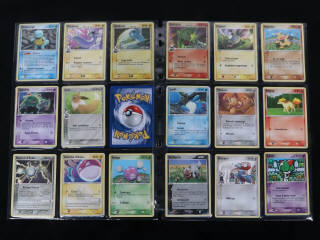 Lot 219 - POKEMON COMPANY (FRANCE) (1)