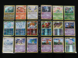 Lot 230 - POKEMON COMPANY (FRANCE) (1)