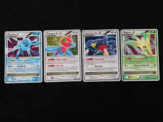 Lot 229 - POKEMON COMPANY (FRANCE) (1)