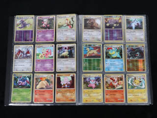 Lot 240 - POKEMON COMPANY (FRANCE) (1)