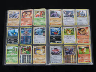 Lot 234 - POKEMON COMPANY (FRANCE) (1)