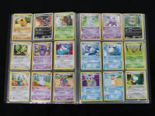 Lot 234 - POKEMON COMPANY (FRANCE) (1)