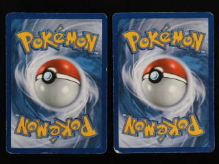 Lot 242 - POKEMON COMPANY (FRANCE) (1)