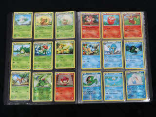 Lot 242 - POKEMON COMPANY (FRANCE) (1)