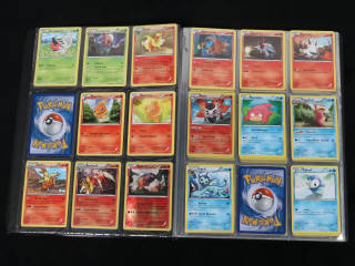 Lot 245 - POKEMON COMPANY (FRANCE) (1)