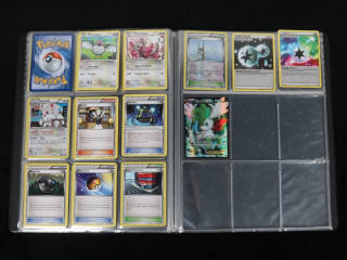 Lot 244 - POKEMON COMPANY (FRANCE) (1)
