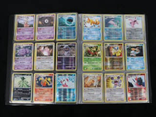Lot 228 - POKEMON COMPANY (FRANCE) (1)