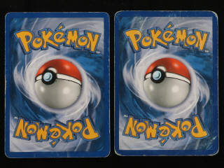 Lot 228 - POKEMON COMPANY (FRANCE) (1)