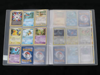 Lot 251 - POKEMON COMPANY (FRANCE) (1)