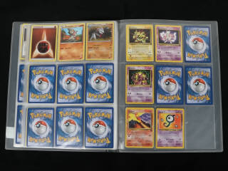 Lot 251 - POKEMON COMPANY (FRANCE) (1)