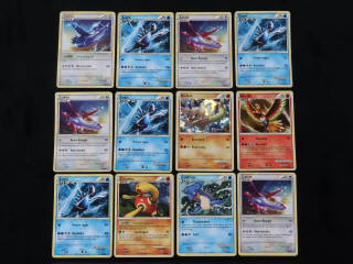 Lot 295 - POKEMON COMPANY (FRANCE) (12)
