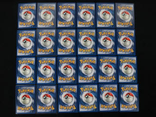 Lot 315 - POKEMON COMPANY (FRANCE) (24)
