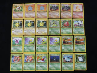 Lot 312 - POKEMON COMPANY (FRANCE) (24)