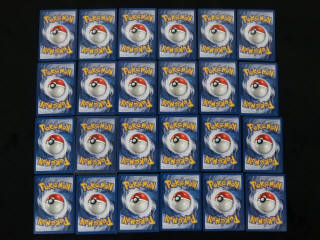 Lot 313 - POKEMON COMPANY (FRANCE) (24)