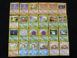 Lot 314 - POKEMON COMPANY (FRANCE) (24)