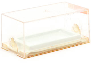 Lot 248 - MAJORETTE (FRANCE) (1)