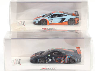 Lot 121 - TSM MODELS (CHINE) (2)