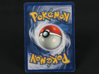 Lot 255 - POKEMON COMPANY (FRANCE) (1)