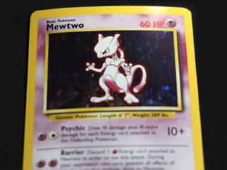 Lot 252 - POKEMON COMPANY (USA) (2)