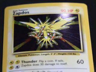 Lot 252 - POKEMON COMPANY (USA) (2)