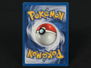 Lot 251 - POKEMON COMPANY (FRANCE) (1)