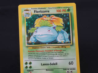 Lot 251 - POKEMON COMPANY (FRANCE) (1)
