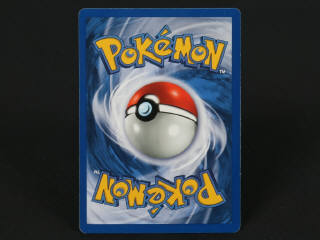 Lot 250 - POKEMON COMPANY (FRANCE) (1)