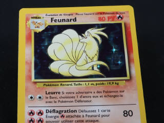 Lot 250 - POKEMON COMPANY (FRANCE) (1)