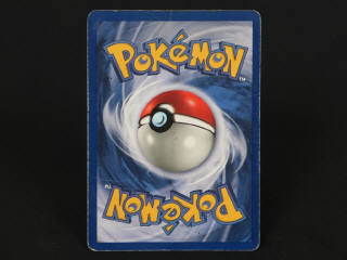 Lot 253 - POKEMON COMPANY (USA) (1)