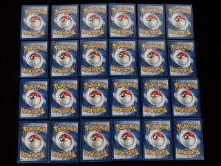 Lot 260 - POKEMON COMPANY (FRANCE) (24)