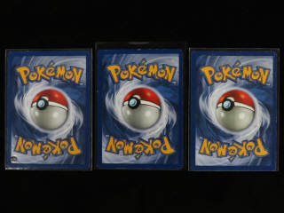 Lot 260 - POKEMON COMPANY (FRANCE) (24)