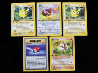 Lot 263 - POKEMON COMPANY (FRANCE) (5)