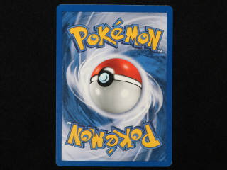 Lot 7 - POKEMON COMPANY (FRANCE) (1)
